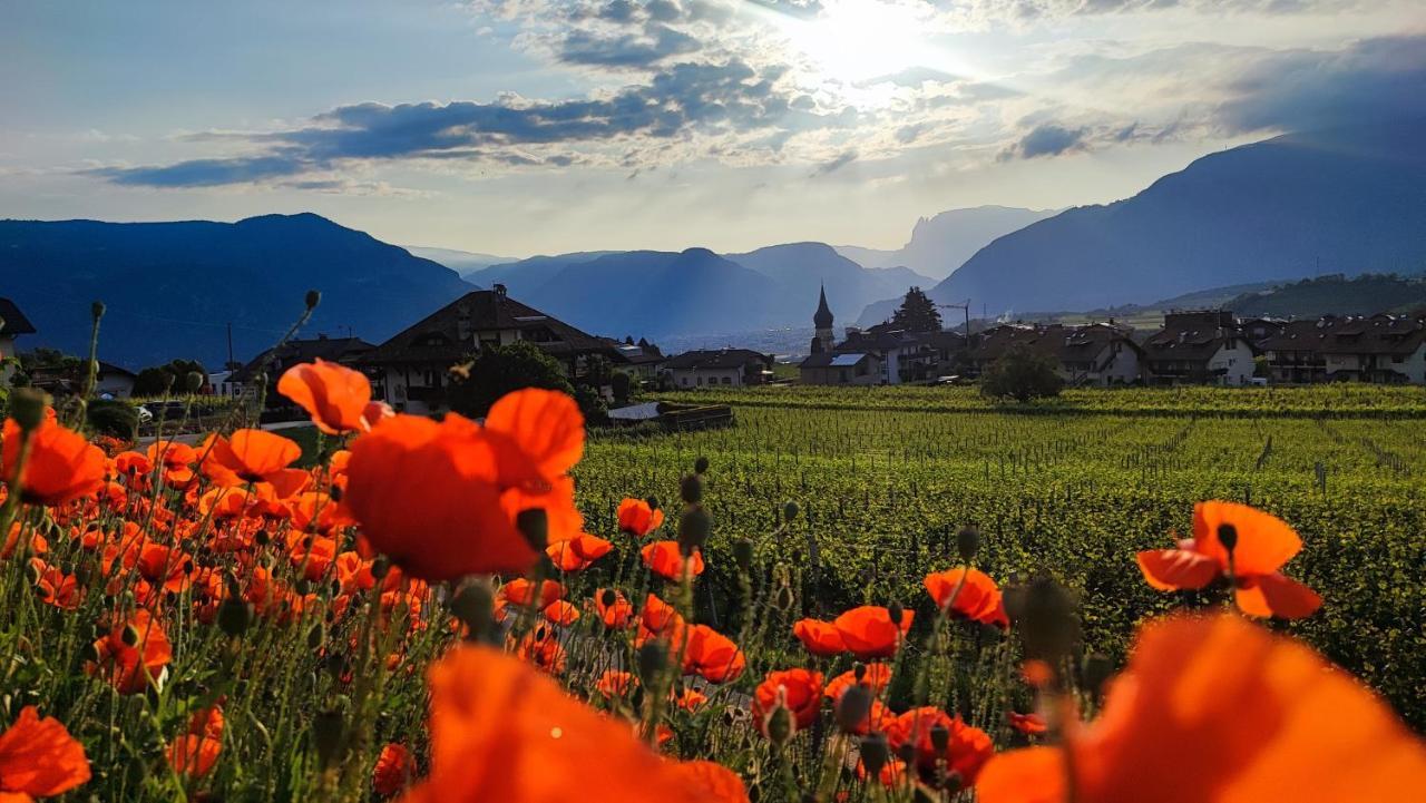 Highlight Apartments Appiano Sulla Strada Del Vino Exterior photo